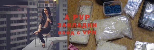 гашик Саяногорск