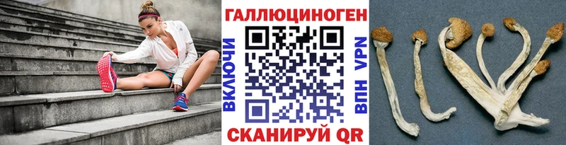 Псилоцибиновые грибы мицелий  Тавда 